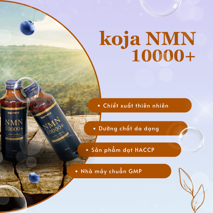 Nước uống sức khỏe Koja NMN 10000+ nhập khẩu Hàn Quốc